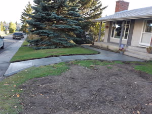 Curved Concrete Walkway Front Yard Calgary